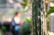 ../galleries/2017.09.16_Botanischer_Garten/DSC_4834.thumbnail.jpg