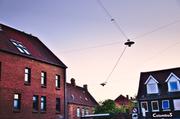 ../galleries/2018.05.19_Odense_Tag_1/DSC_7057.thumbnail.jpg