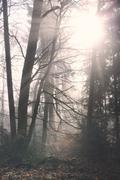 ../galleries/2018.12.28_Spaziergang_im_Taunus/DSC_0407.thumbnail.jpg