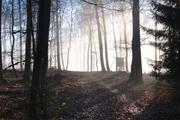 ../galleries/2018.12.28_Spaziergang_im_Taunus/DSC_0412.thumbnail.jpg
