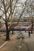../galleries/2019.04.03_Kirschblüte_am_Z-Campus/DSC_1062.thumbnail.jpg