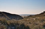 ../galleries/2019.04.16_Amrum_-_Tag_1/DSC_1922.thumbnail.jpg