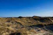 ../galleries/2019.04.17_Amrum_-_Tag_2/DSC_2257.thumbnail.jpg
