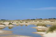 ../galleries/2019.04.20_Amrum_-_Tag_5/DSC_2841.thumbnail.jpg