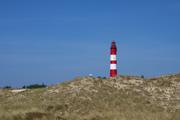 ../galleries/2019.04.20_Amrum_-_Tag_5/DSC_2864.thumbnail.jpg