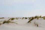 ../galleries/2019.04.24_Amrum_-_Tag_9/DSC_3254.thumbnail.jpg