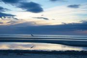 ../galleries/2019.04.25_Amrum_-_Tag_10/DSC_3402.thumbnail.jpg
