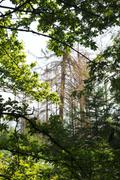 ../galleries/2019.08.04_Urwald_Sababurg/DSC_1859.thumbnail.jpg