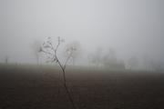 ../galleries/2019.11.10_Roronger_Berg_im_Nebel_mit_Annika/DSC_2859.thumbnail.jpg