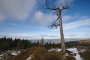 ../galleries/2020.02.15_Harz_Lonau/DSC_4214.thumbnail.jpg