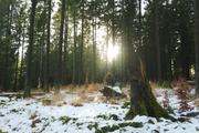 ../galleries/2020.02.15_Harz_Lonau/DSC_4227.thumbnail.jpg