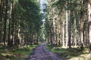 ../galleries/2020.04.04_Wandern_Harz_Bad_Grund/DSC_4757.thumbnail.jpg