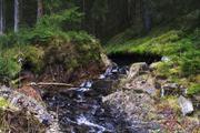 ../galleries/2020.04.04_Wandern_Harz_Bad_Grund/DSC_4769.thumbnail.jpg