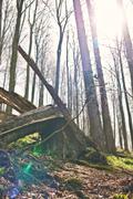 ../galleries/2020.04.10_Wandern_Harz_Bad_Sachsa/DSC_4868.thumbnail.jpg