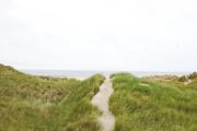 ../galleries/2020.06.19_Urlaub_Amrum_-_Tag_1/DSC_5620.thumbnail.jpg