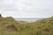../galleries/2020.06.19_Urlaub_Amrum_-_Tag_1/DSC_5621.thumbnail.jpg