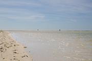 ../galleries/2020.06.20_Urlaub_Amrum_-_Tag_2/DSC_5833.thumbnail.jpg
