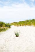 ../galleries/2020.06.21_Urlaub_Amrum_-_Tag_3/DSC_5927.thumbnail.jpg