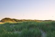 ../galleries/2020.06.23_Urlaub_Amrum_-_Tag_5/DSC_6379.thumbnail.jpg