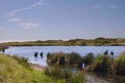 ../galleries/2020.06.25_Urlaub_Amrum_-_Tag_7/DSC_6569.thumbnail.jpg