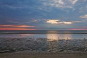 ../galleries/2020.06.27_Urlaub_Amrum_-_Tag_9/DSC_6743.thumbnail.jpg