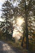 ../galleries/2020.10.29_Urlaub_Lautenthal_-_Tag_4_-_Grumbacher_Teich/DSC_8555.thumbnail.jpg