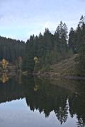 ../galleries/2020.10.29_Urlaub_Lautenthal_-_Tag_4_-_Grumbacher_Teich/DSC_8568.thumbnail.jpg