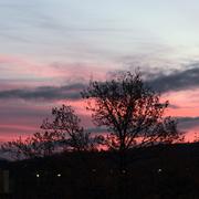../galleries/2020.12.14_Sonnenaufgang/DSC_8755.thumbnail.jpg