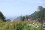 ../galleries/2021.08.13_Urlaub_Frankreich_-_Tag_14_-_Lac_de_Annecy_Wanderung/DSC_1220.thumbnail.jpg