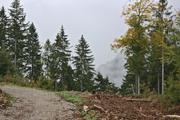 ../galleries/2021.10.04_Urlaub_Allgäu_-_Tag_2_-_Grünten/DSC_1620.thumbnail.jpg