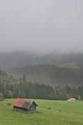 ../galleries/2021.10.04_Urlaub_Allgäu_-_Tag_2_-_Grünten/DSC_1648.thumbnail.jpg