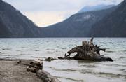 ../galleries/2022.04.16_Urlaub_Schönau_Königssee_-_Tag_7_-_Wanderung_Eiskapelle/DSC_3080.thumbnail.jpg
