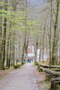 ../galleries/2022.04.16_Urlaub_Schönau_Königssee_-_Tag_7_-_Wanderung_Eiskapelle/DSC_3081.thumbnail.jpg
