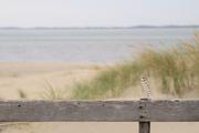 ../galleries/2022.09.07_Urlaub_Amrum_-_Tag_5_-_Strand/DSC_4374.thumbnail.jpg