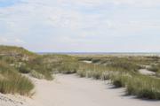 ../galleries/2022.09.10_Urlaub_Amrum_-_Tag_8_-_Dünenwanderweg_und_Sonnenuntergang/DSC_4647.thumbnail.jpg