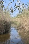 ../galleries/2022.10.19_Urlaub_Mallorca_-_Tag_5_-_Parc_Natural_de_s_Albufera_de_Mallorca/DSC_5126.thumbnail.jpg