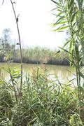../galleries/2022.10.19_Urlaub_Mallorca_-_Tag_5_-_Parc_Natural_de_s_Albufera_de_Mallorca/DSC_5130.thumbnail.jpg