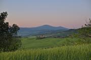 ../galleries/2023.05.04_Urlaub_Toskana_-_Tag_6_-_Sonnenaufgang_Podere_Alteta/DSC_7579.thumbnail.jpg