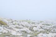 ../galleries/2024.03.25_Urlaub_Mallorca_-_Tag_2_-_Bergwanderung_im_Nebel,_Sterne_über_Soller/DSC_1216.thumbnail.jpg
