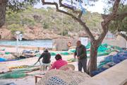 ../galleries/2024.03.26_Urlaub_Mallorca_-_Tag_3_-_Valldemossa,_Nova_Palma,_Cala_Figuera/DSC_1358.thumbnail.jpg